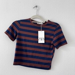 Zara Striped Brown and Blue T-Shirt